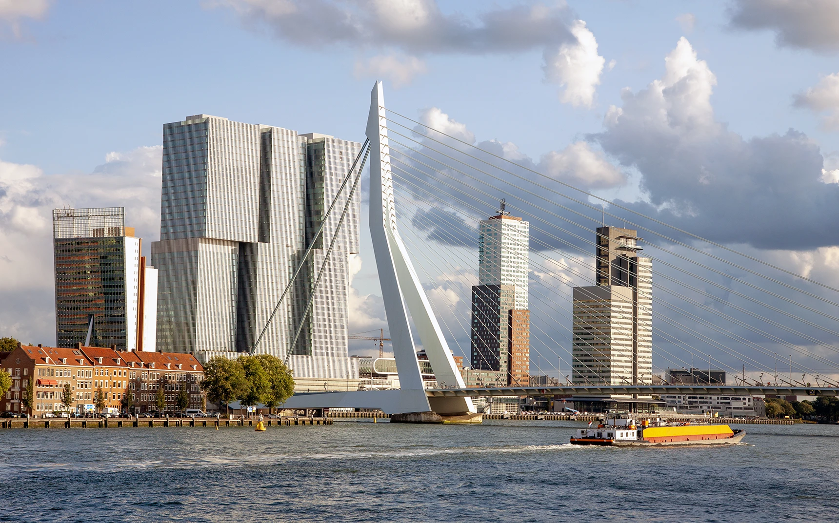 Rotterdam skyline – Steenhuisen Makelaars